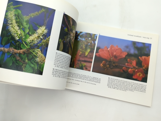 Wildflowers Of Kakadu: Guide To The Wildflowers Of Kakadu National Park And The by K. Brennan