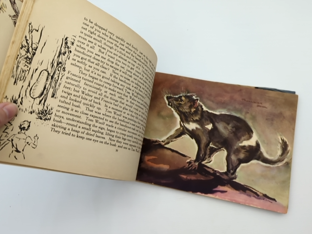 Australian Holiday by Alec and Catherine King (Hardcover, 1945) by Alec And Catherine King