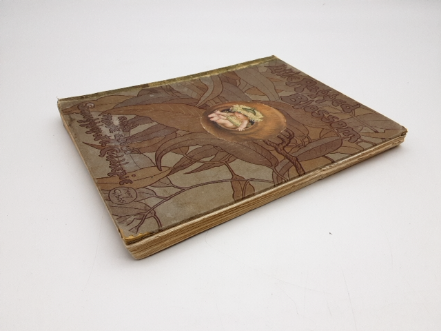 Little Ragged Blossom & More About Snugglepot & Cuddlepie May Gibbs 1920 1st Ed by May Gibbs