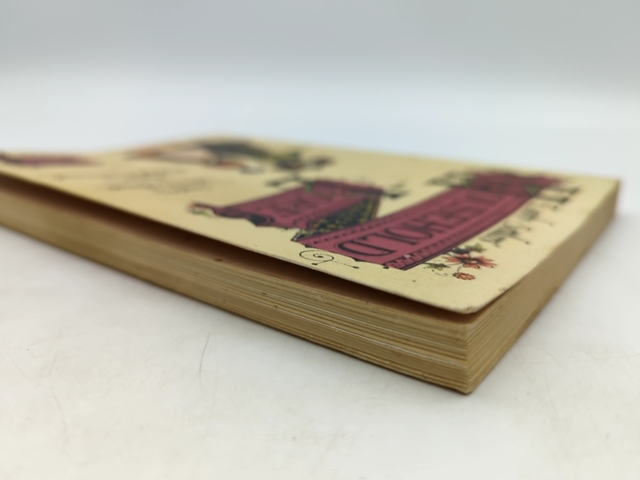 Early Settlers' Household Lore by N Prescott (Paperback, 1978) American History by N Prescott