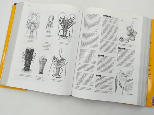 The Oxford Companion To Food by Alan Davidson, Food Writing by Alan Davidson