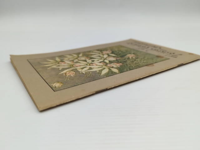 Flannel Flower Babies by May Gibbs (Brochure/Pamphlet, 1990) Children's by May Gibbs