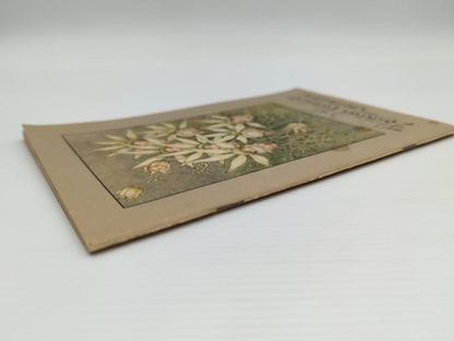 Flannel Flower Babies by May Gibbs (Brochure/Pamphlet, 1990) Children's by May Gibbs
