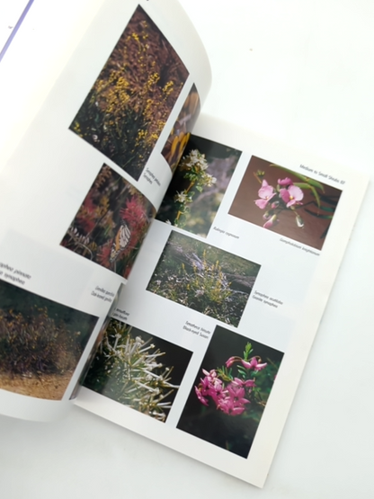 Field Guide To Western Australian Wildflowers West Coast Hills By Darling Range by Darling Range Branch