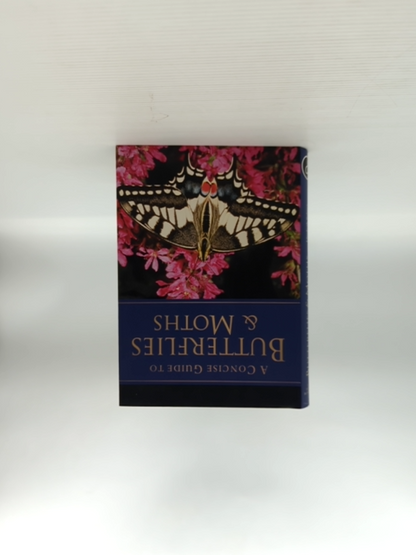 Concise Guide To Butterflies Moths by Elizabeth Balmer, Butterflies & Moths by Elizabeth Balmer