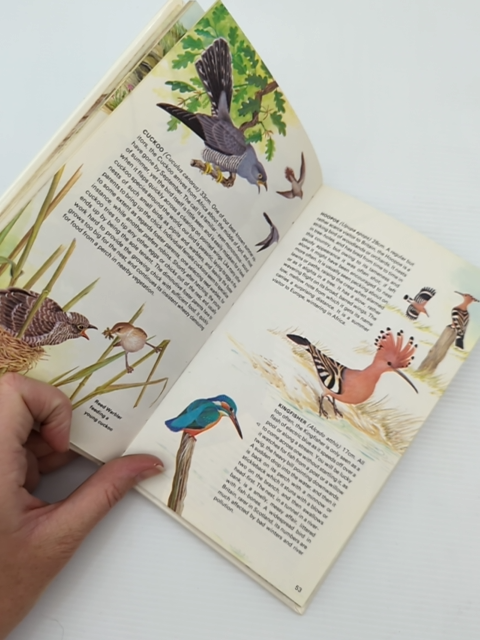 Handguide To The Birds Of Britain And Europe, Martin Woodcock Hermann Heinzel by "Martin Woodcock Hermann Heinzel"