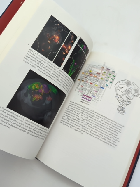 The Future Of The Brain: Essays By The World's Leading Neuroscientists by Edvard I. Moser, May-Britt Moser