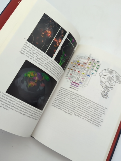 The Future Of The Brain: Essays By The World's Leading Neuroscientists by Edvard I. Moser, May-Britt Moser