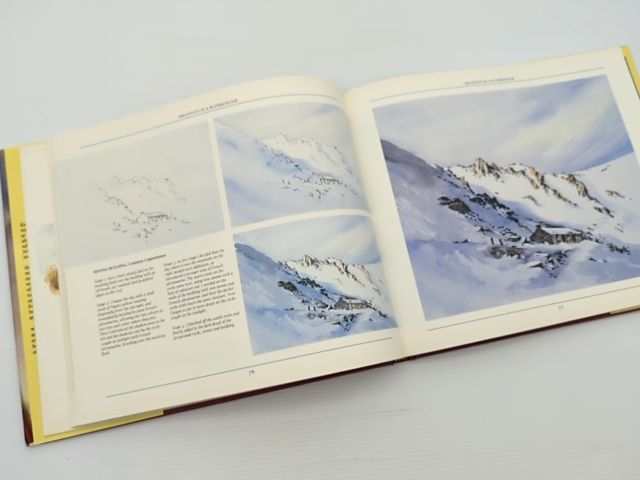 The Practical Guide To Painting In The Wild by David Bellamy, Art Instruction by David Bellamy