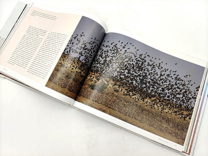 Lake Eyre: A Journey Through The Heart Of The Continent (Hardcover, 2012) by Paul Lockyer