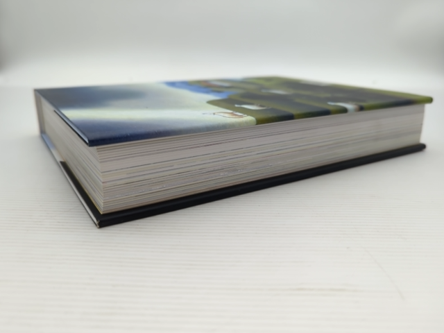 The Mind And Times Of Reg Mombassa by Murray Waldren, Artists by Murray Waldren