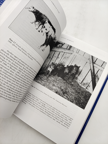 The Last Tasmanian Tiger: The History And Extinction Of The Thylacine, Robert Pa by Robert Paddle