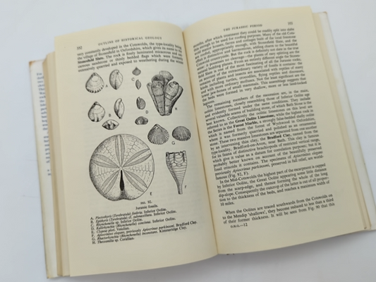 Outline Of Historical Geology by J F Kirkaldy A K Wells (Hardcover, 1966) by J F Kirkaldy A K Wells