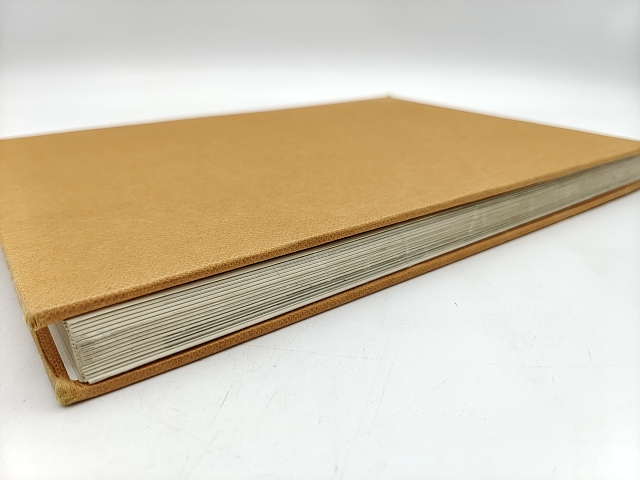 The Illustrated Encyclopedia Of Trees: Timbers And Forests Of The World, Botany by Herbert L Edlin