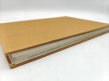The Illustrated Encyclopedia Of Trees: Timbers And Forests Of The World, Botany by Herbert L Edlin