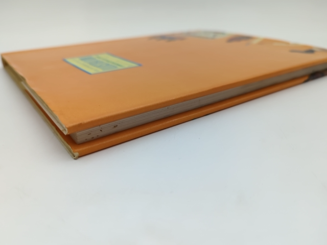 An Introduction to Illustration by Brian Lewis, Art Instruction by Brian Lewis