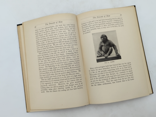 Apes and Men by Herbert John Fleure Harold Peake (Cloth, 1927) 1st Edition by Herbert John Fleure Harold Peake