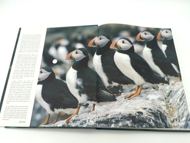 The Encyclopedia of Birds by Author Not Stated (Hardcover, 2021) 140549851X by Unknown