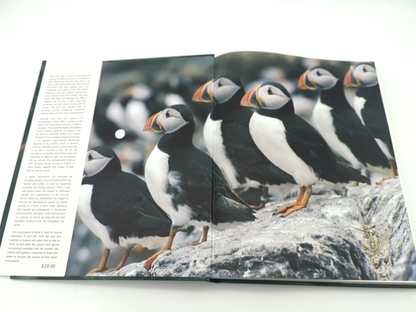 The Encyclopedia of Birds by Author Not Stated (Hardcover, 2021) 140549851X by Unknown