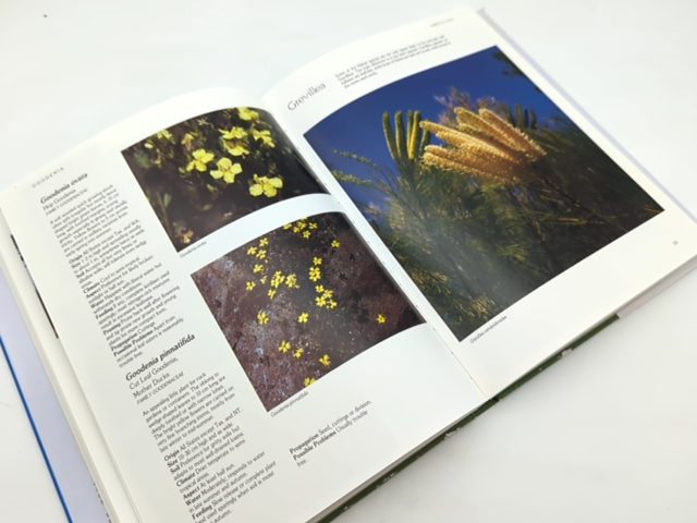 Allan Seale's Garden Companion Guide To Native Plants by Allan Seale, Gardening by Allan Seale