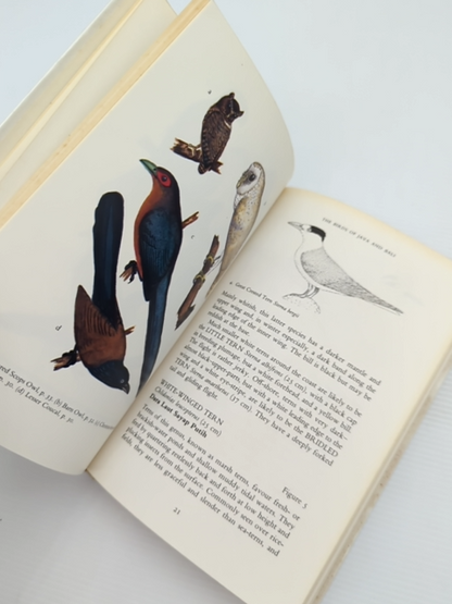 The Birds Of Java And Bali (images Of Asia) by Stephen Nash Derek Holmes by Derek Holmes, Stephen Nash