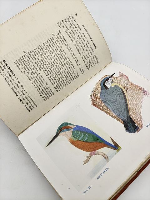British Birds and Their Eggs by J Maclair Boraston RARE 1928 Nature by "J Maclair Boraston"