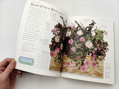 Gay Search's Gardening Without Garden (Paperback, 1999) Gardening Book by Not Available