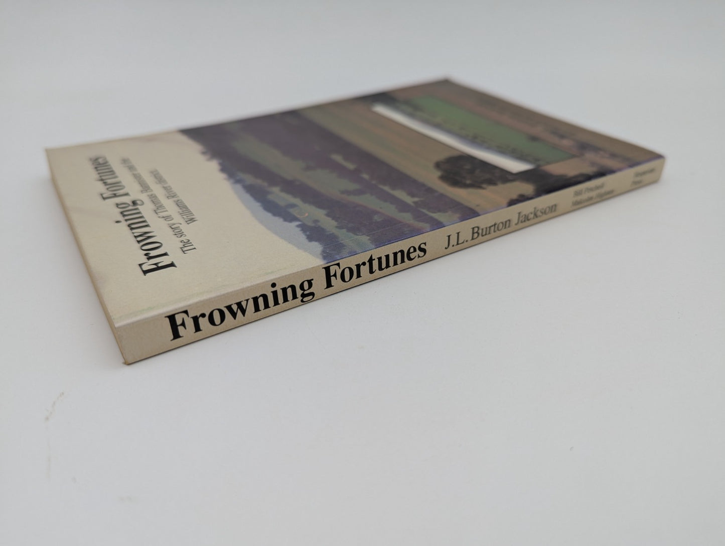 Frowning Fortunes: The story of Thomas Bannister and the Williams River District by J L Burton Jackson