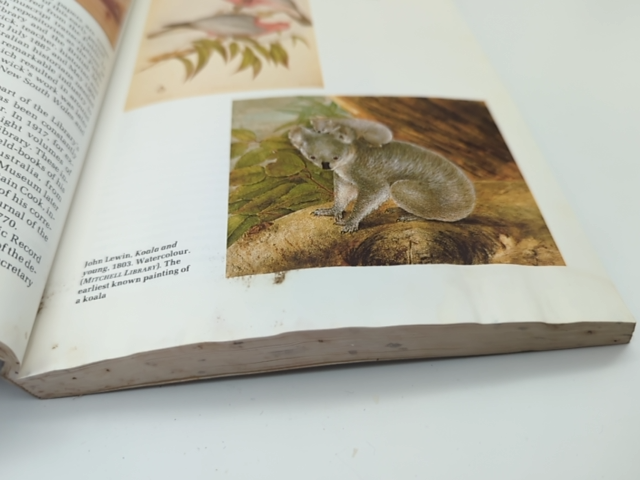 Treasures of the State Library of New South Wales: The Australiana Collections, by Anne Robertson