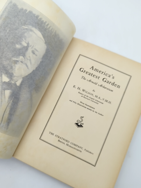 America's Greatest Garden by Ernest H Wilson (Hardcover, 1929) Natural History by Ernest H Wilson