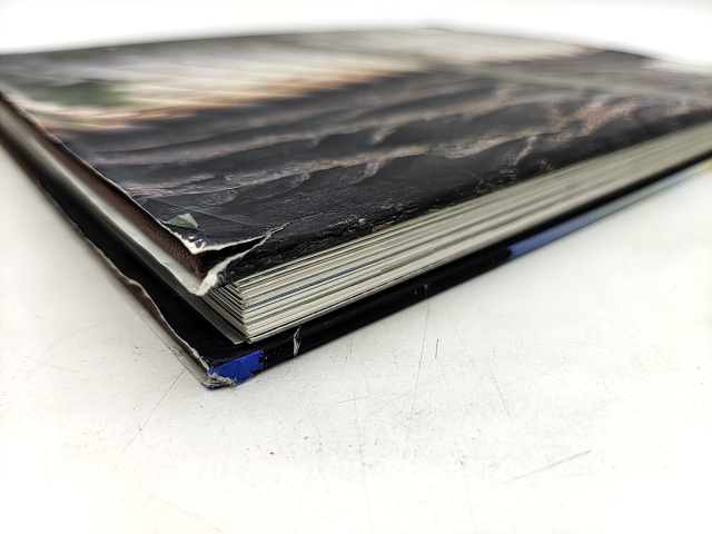 Treehouses by A Mornement & P Henderson, Hardcover Coffee Table Design Book by Adam Mornement, Paula Henderson