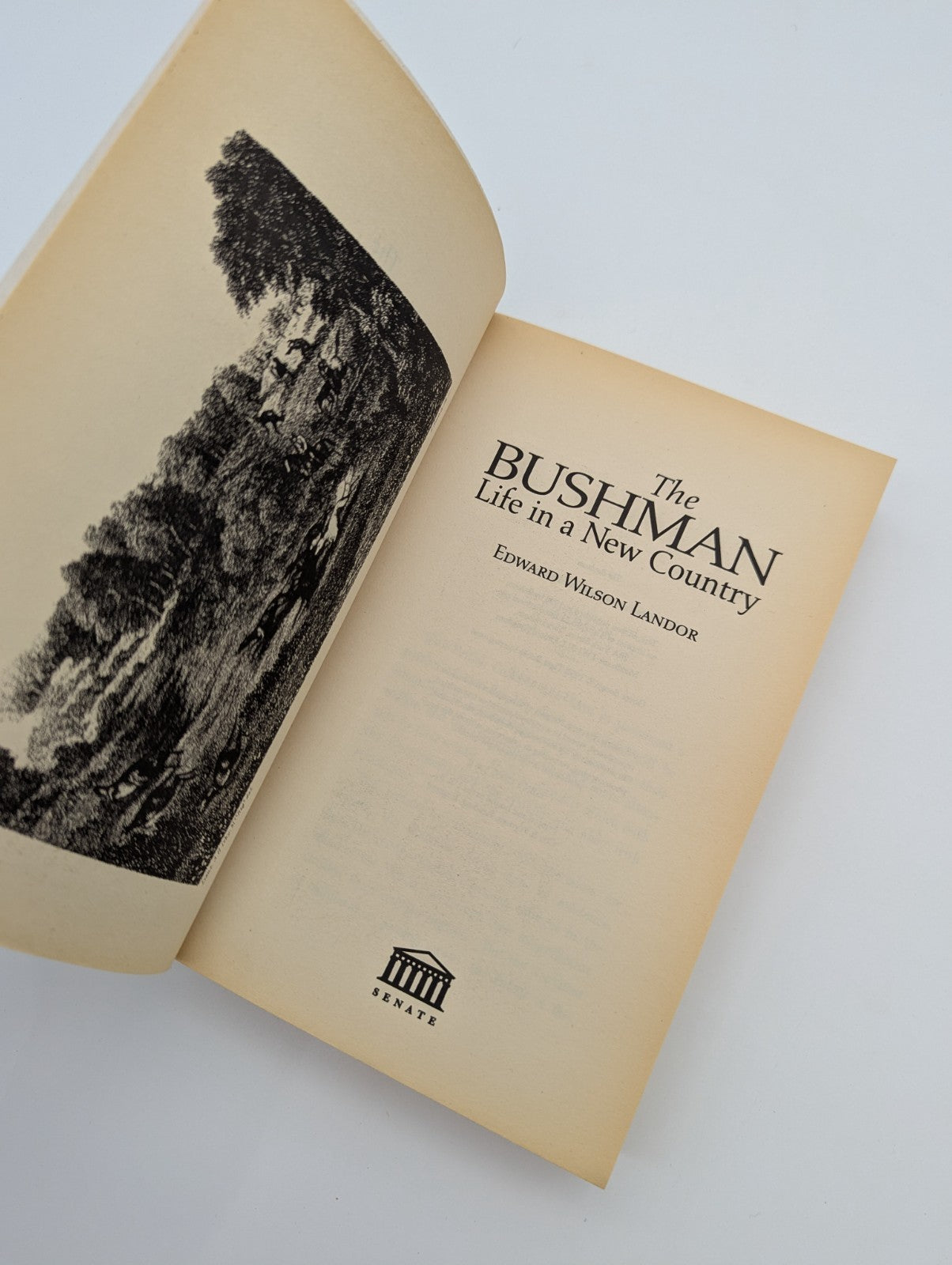 The bushman: life in a new country by Edward Wilson Landor (Fascimile, 1998) by Edward Wilson Landor