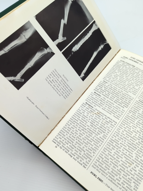 Black's Veterinary Dictionary 1964, Vintage 7th Edition by William C Miller And Geoffrey P West