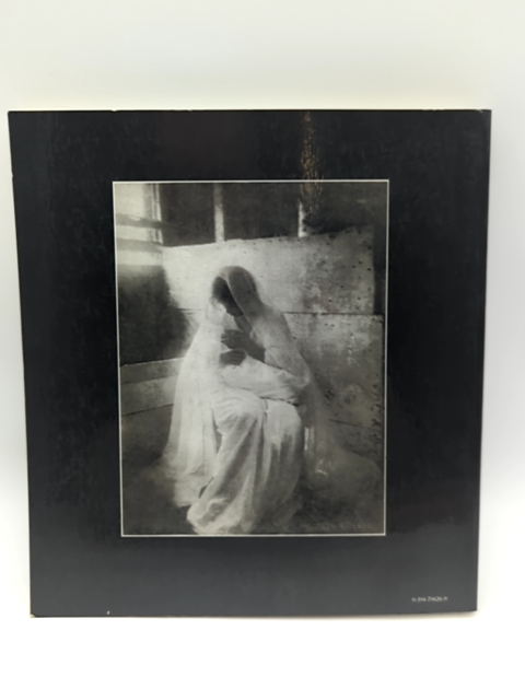The Woman's Eye by Anne Tucker (Paperback, 1973) Female Photographers Book by Anne Tucker