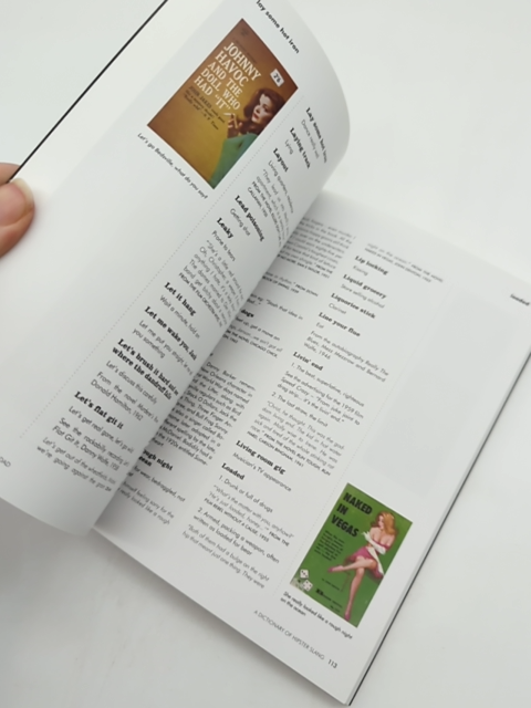 Straight From The Fridge, Dad: Dictionary Of Hipster Slang, Max Décharné, Slang by Max Décharné