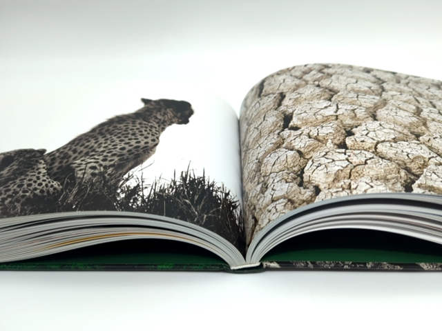 Wild Things by Jaschinski (Hardcover, 1999) Animal Photography Coffee Table Book by Britta Jaschinski