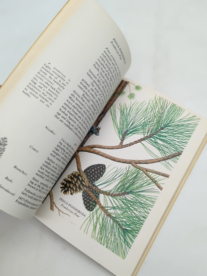 The Pinetree Book (brandywine) by R. Peterson (Paperback, 1980) 1st Edition by Russell Francis Peterson
