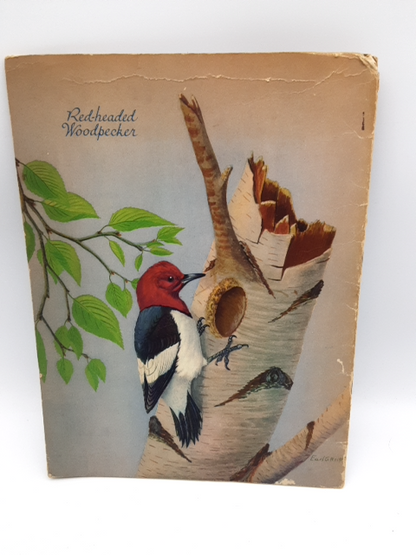 At Home With the Birds: A Book on Nesting Habits by Alfred M Bailey, Ornithology by Alfred M Bailey
