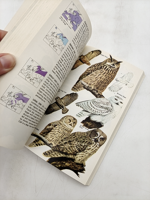 The Hamlyn Guide To Birds Of Britain And Europe; by Bertel Bruun, Birdwatching by Bertel Bruun