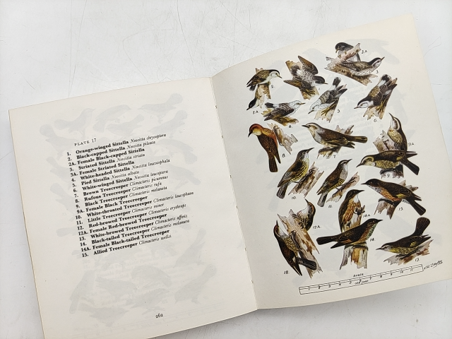 What Bird Is That? Cayley's Classic Guide To The Birds Of Australia, Paperback by Neville W. Cayley