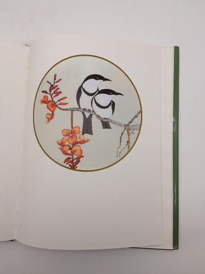 A Burble Of Birds by Judy Wilford (Hardcover, 1992) 1st Edition, Birdwatching