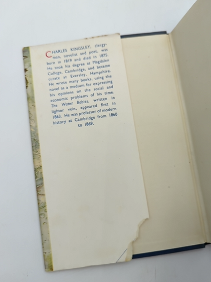 The Water Babies by Charles Kingsley (Hardcover, 1960) Illustrated by Charles Kingsley