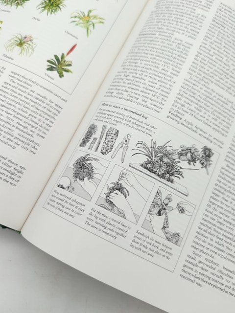 Complete Guide To Indoor Plants (readers Digest) by Readers Digest, Indoor Games by Not Available
