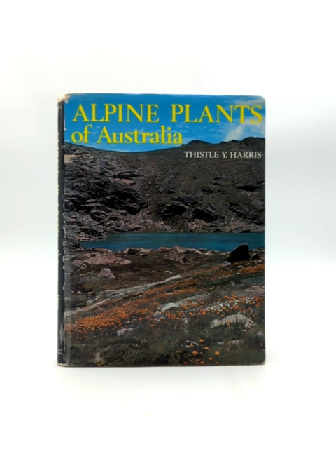 Alpine Plants Of Australia Including Subalpine And Montane Plants, Thistle Yolet by Thistle Yolette Harris