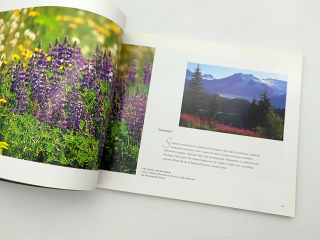 Juneau Portrait Ii by Annabel Lund (Paperback, 1997) by Annabel Lund, Mark Kelley