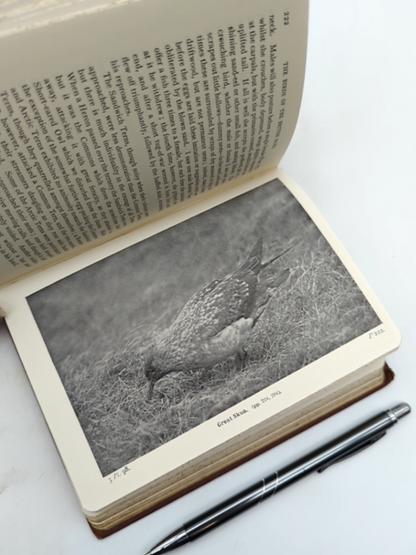 The Birds of the British Isles by T A Coward (Cloth, 1934) Natural History by T A Coward