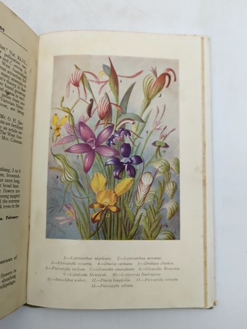 West Australian orchids by Emily H. Pelloe (Hardcover, 1930) 1st Edition by Emily H. Pelloe