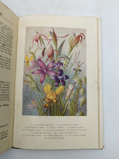 West Australian orchids by Emily H. Pelloe (Hardcover, 1930) 1st Edition by Emily H. Pelloe