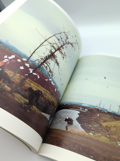 Art and Photography by David Campany (Paperback, 2012) 0714863920 by David Campany