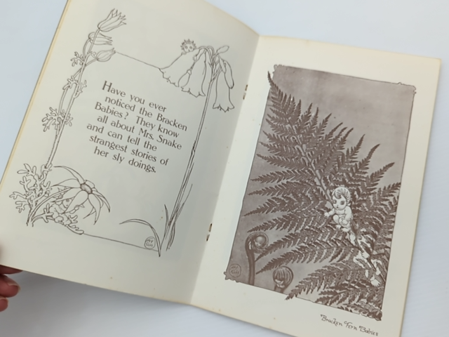 Flannel Flower Babies by May Gibbs (Brochure/Pamphlet, 1990) Children's by May Gibbs